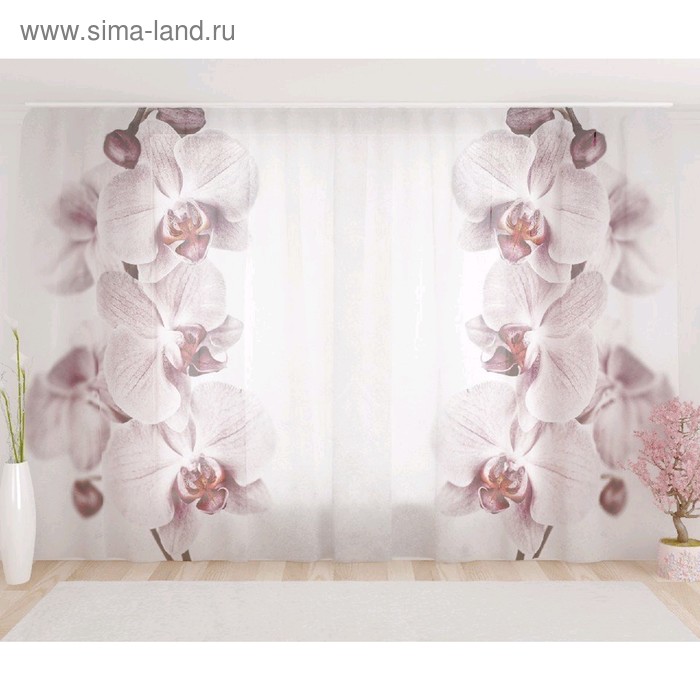 Фототюль «Райские цветы», размер 290 х 260 см, вуаль
Фототюль «Райские цветы», размер 290 х 260 см, вуаль