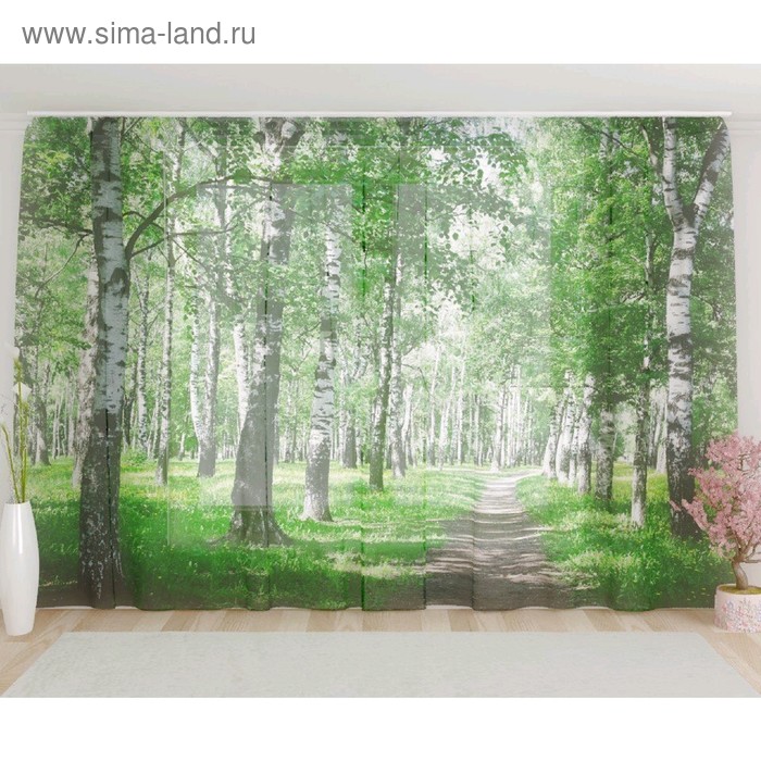 Фототюль «Березовая аллея», размер 290 х 260 см, вуаль
Фототюль «Березовая аллея», размер 290 х 260 см, вуаль