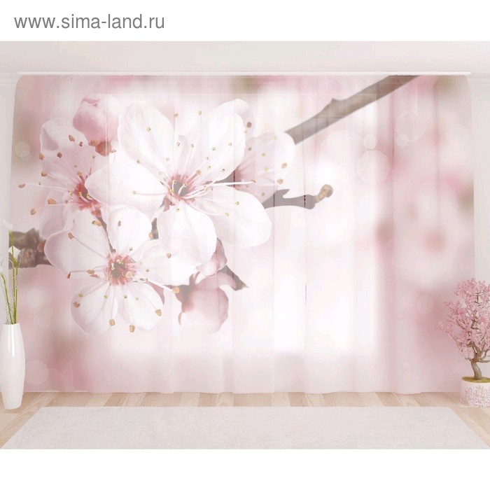 Фототюль «Ветвь», размер 290 х 260 см, вуаль
Фототюль «Ветвь», размер 290 х 260 см, вуаль