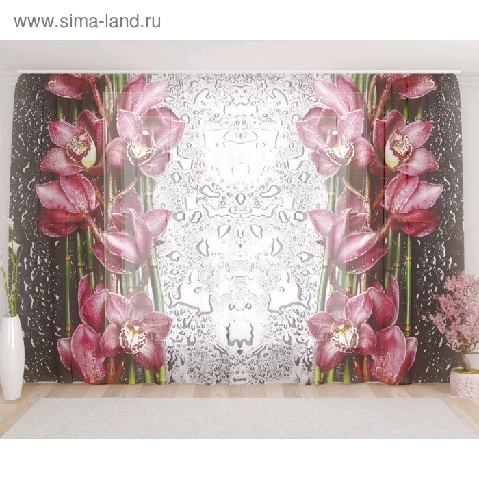 Фототюль «Цветы после дождя», размер 290 х 260 см, вуаль
Фототюль «Цветы после дождя», размер 290 х 260 см, вуаль