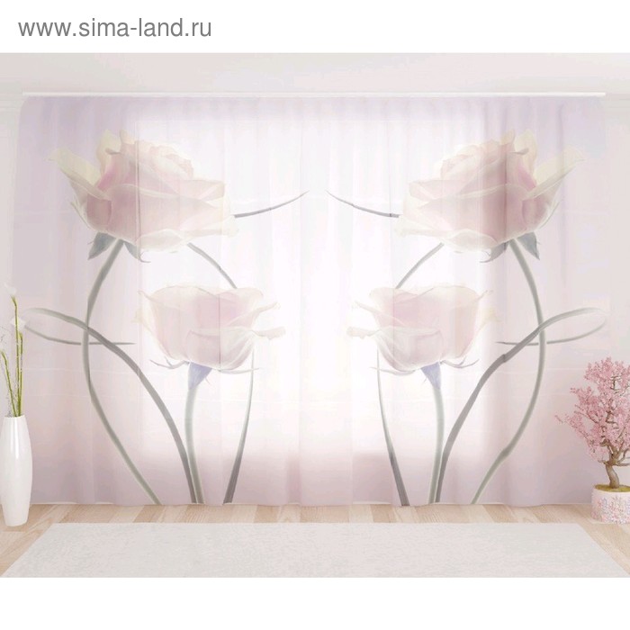Фототюль «Небесные розы», размер 290 х 260 см, вуаль
Фототюль «Небесные розы», размер 290 х 260 см, вуаль
