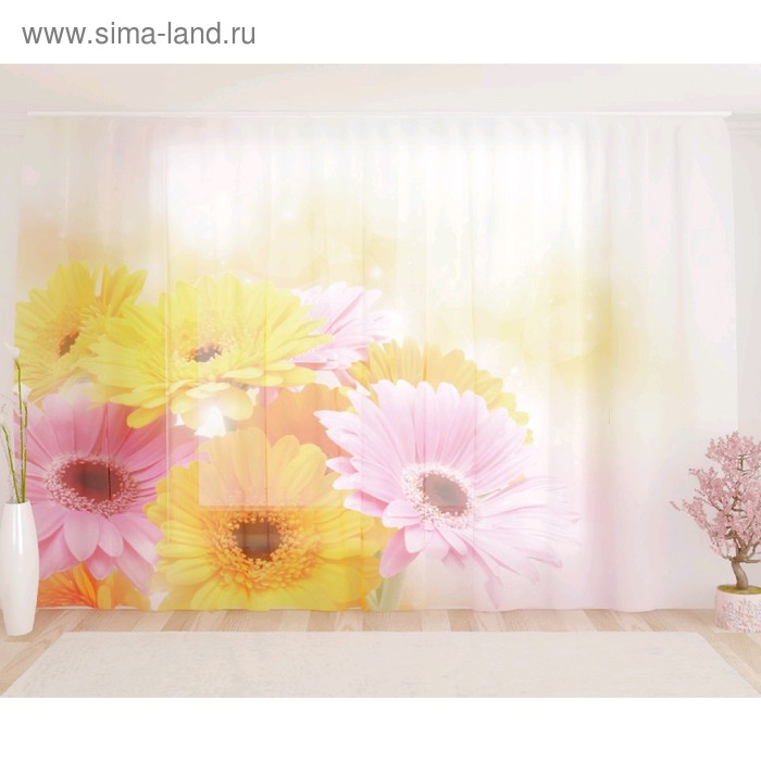 Фототюль «Герберы», размер 290 х 260 см, вуаль
Фототюль «Герберы», размер 290 х 260 см, вуаль