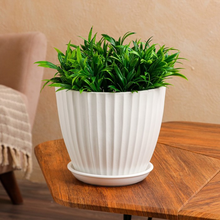 Горшок для цветов "Калифорния", белый жемчуг, керамика, 3.5 л 
Горшок для цветов "Калифорния", белый жемчуг, керамика, 3.5 л