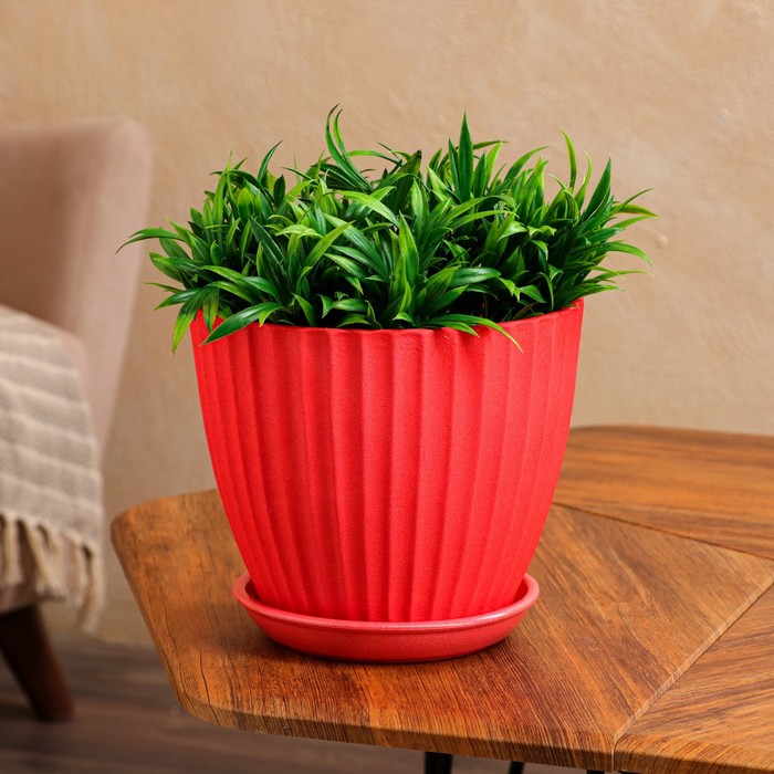 Горшок для цветов "Калифорния", коралловый жемчуг, керамика, 3.5 л
Горшок для цветов "Калифорния", коралловый жемчуг, керамика, 3.5 л