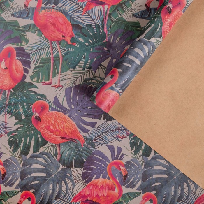 Бумага упаковочная крафтовая "Фламинго в тропиках" 50х70 см
Бумага упаковочная крафтовая "Фламинго в тропиках" 50х70 см
