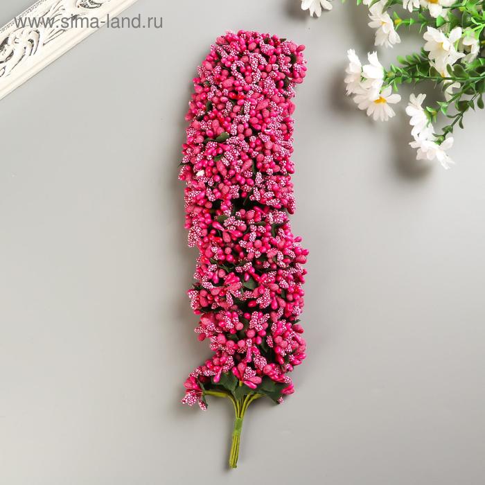 Букетик декоративных цветов 2см, пурпурный
Букетик декоративных цветов 2см, пурпурный