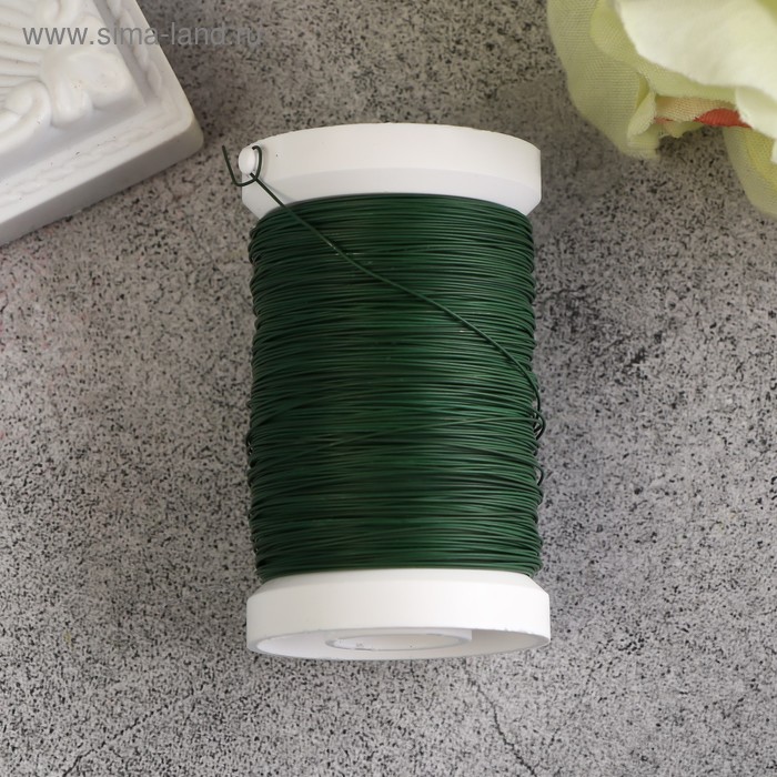 Проволока для творчества на катушке 100 м, 0,35мм, зеленый
Проволока для творчества на катушке 100 м, 0,35мм, зеленый