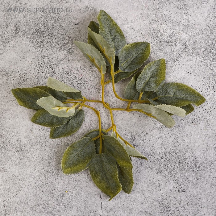 Лист розы 18х8,5 см
Лист розы 18х8,5 см