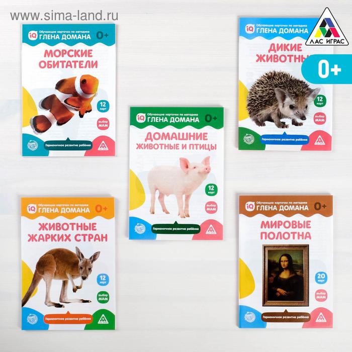 Обучающие карточки по методике Глена Домана размера А5, «МИКС №3»
Обучающие карточки по методике Глена Домана размера А5, «МИКС №3»