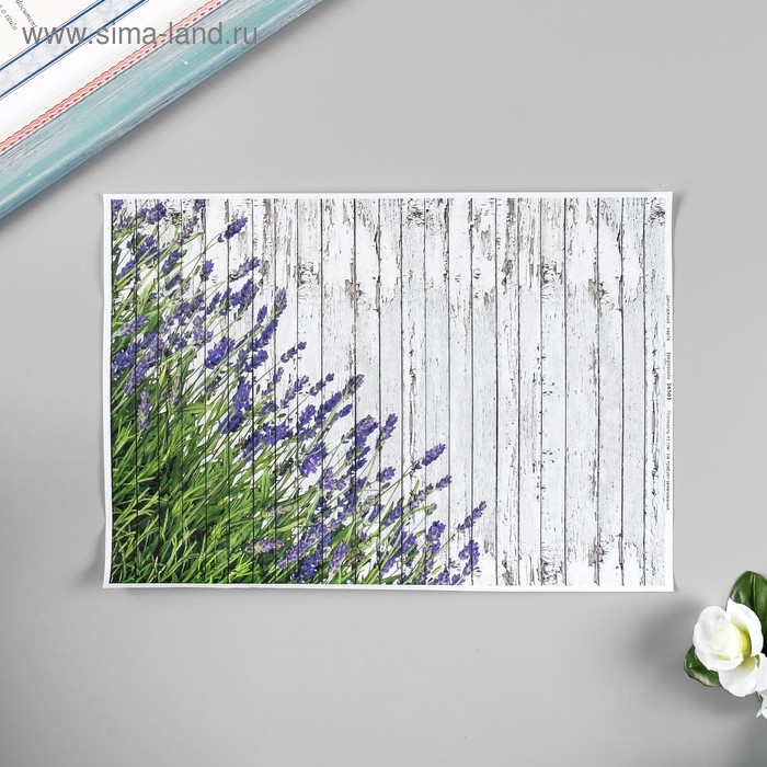 Декупажная карта "Лаванда на досках" плотность 45 г/м2, формат А4
Декупажная карта "Лаванда на досках" плотность 45 г/м2, формат А4