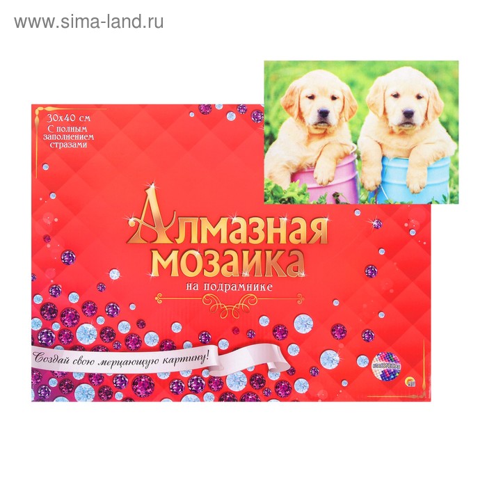 Алмазная мозаика 30 × 40 см, полное заполнение, с подрамником «Лабрадочики в саду»