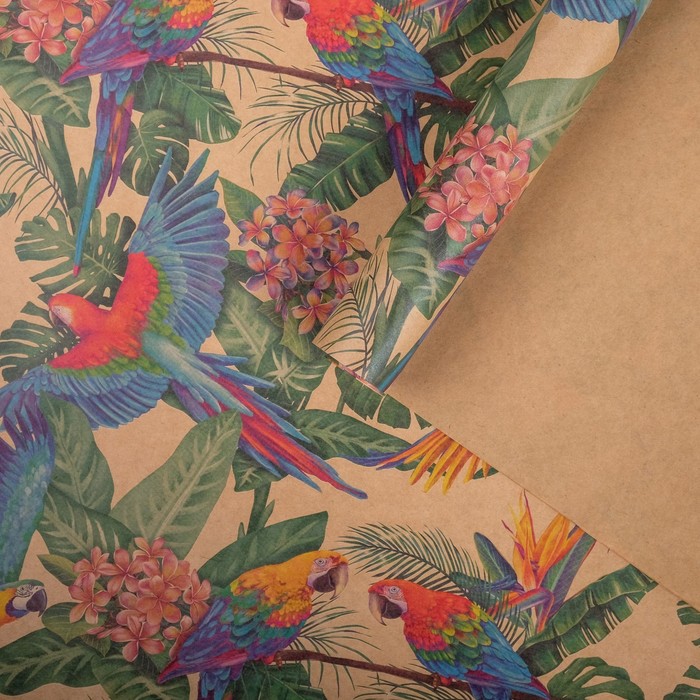 Бумага упаковочная крафтовая "Попугаи" 50х70 см
Бумага упаковочная крафтовая "Попугаи" 50х70 см