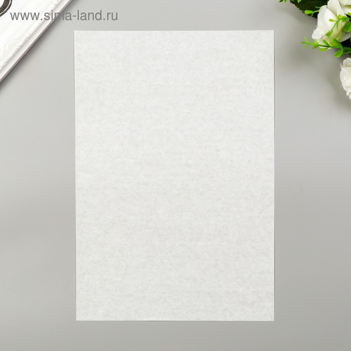 Декоративная калька "Колибри" белая, набор 10 шт, А4, 25 гр/м2
Декоративная калька "Колибри" белая, набор 10 шт, А4, 25 гр/м2