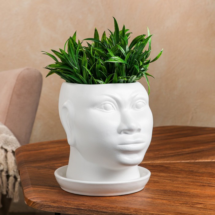 Горшок для цветов "Голова африканки", муар, белое, керамика, 1.4 л 
Горшок для цветов "Голова африканки", муар, белое, керамика, 1.4 л