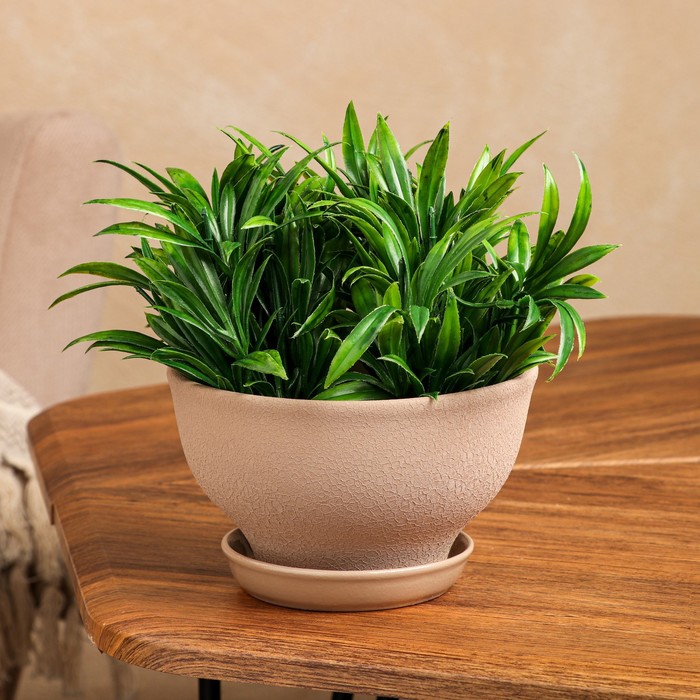 Горшок для цветов "Фиалка", шёлк, капучино, 0.6 л
Горшок для цветов "Фиалка", шёлк, капучино, 0.6 л