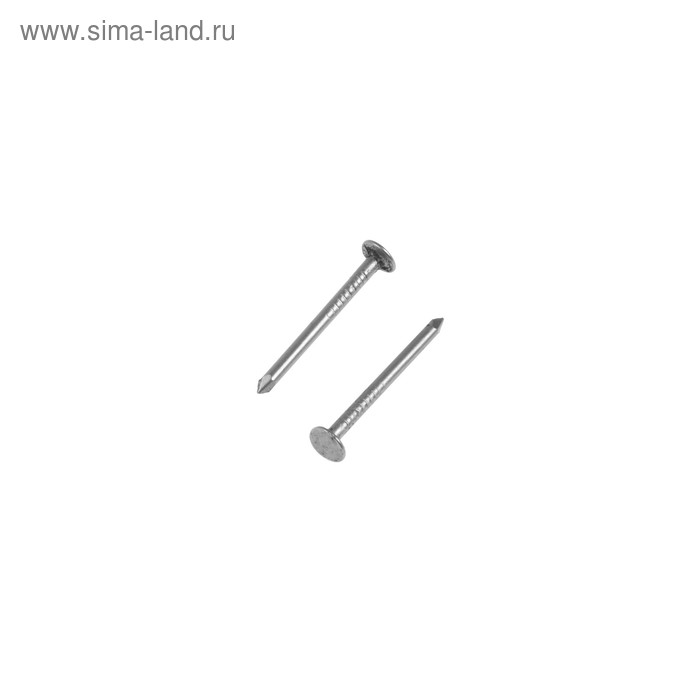 Гвоздь 2х25 толевый, уп. 0,3 кг 
Гвоздь 2х25 толевый, уп. 0,3 кг