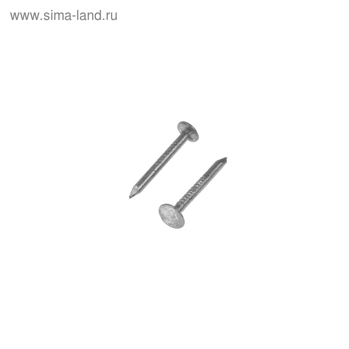 Гвоздь 2х20 толевый, уп. 0,3 кг
Гвоздь 2х20 толевый, уп. 0,3 кг