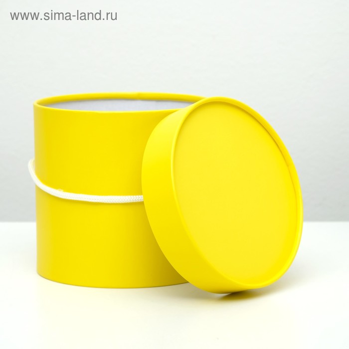 Подарочная коробка, круглая, лимонная, 15 х 15 см
Подарочная коробка, круглая, лимонная, 15 х 15 см