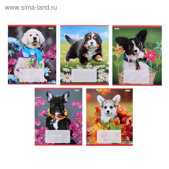 Тетрадь 12 листов в линейку «Верный друг», обложка мелованный картон, блок офсет, МИКС
Тетрадь 12 листов в линейку «Верный друг», обложка мелованный картон, блок офсет, МИКС