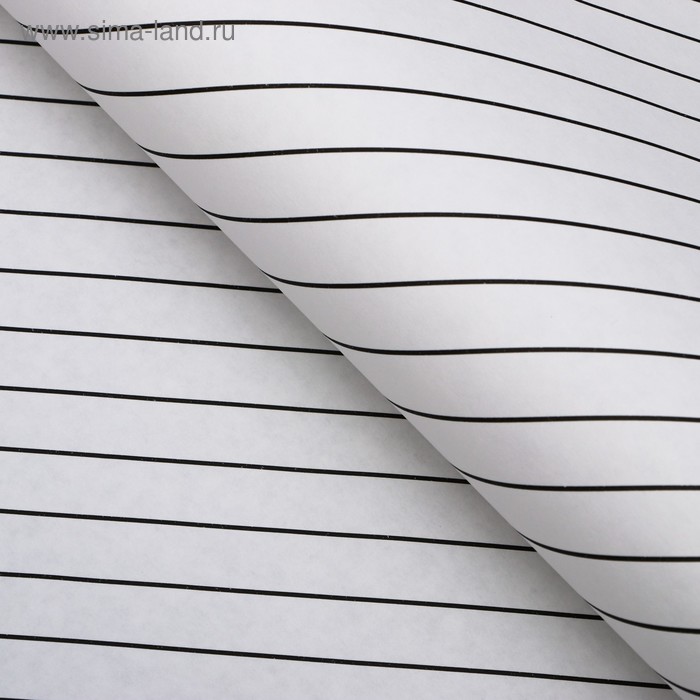 Бумага упаковочная, "Люрекс", крафт, черная, 50 х 70 см
Бумага упаковочная, "Люрекс", крафт, черная, 50 х 70 см