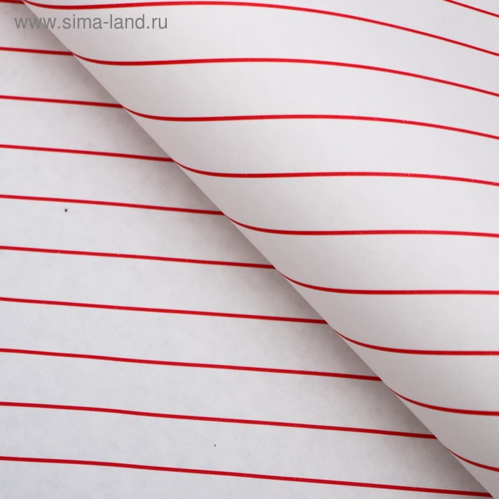 Бумага упаковочная, "Люрекс", крафт, красная, 50 х 70 см
Бумага упаковочная, "Люрекс", крафт, красная, 50 х 70 см