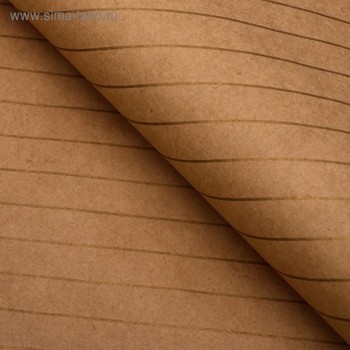 Бумага упаковочная, "Люрекс", крафт, золотая, 50 х 70 см
Бумага упаковочная, "Люрекс", крафт, золотая, 50 х 70 см