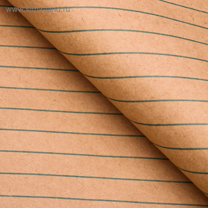 Бумага упаковочная, "Люрекс", крафт, зеленая, 50 х 70 см
Бумага упаковочная, "Люрекс", крафт, зеленая, 50 х 70 см