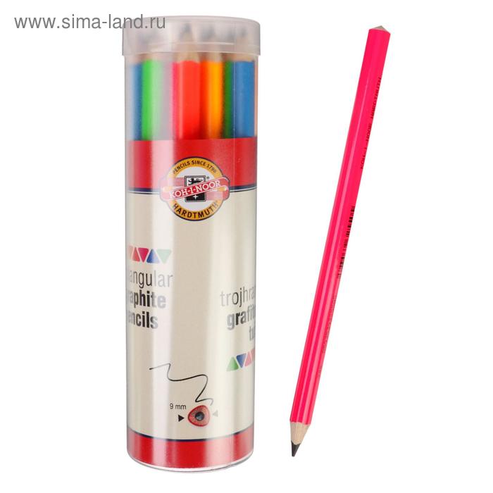 Карандаш чернографитный JUMBO Koh-I-Noor 1870/24 B, микс
Карандаш чернографитный JUMBO Koh-I-Noor 1870/24 B, микс