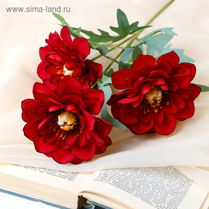 Цветы искусственные "Анемоны крупные" 11х60 см, красный
Цветы искусственные "Анемоны крупные" 11х60 см, красный