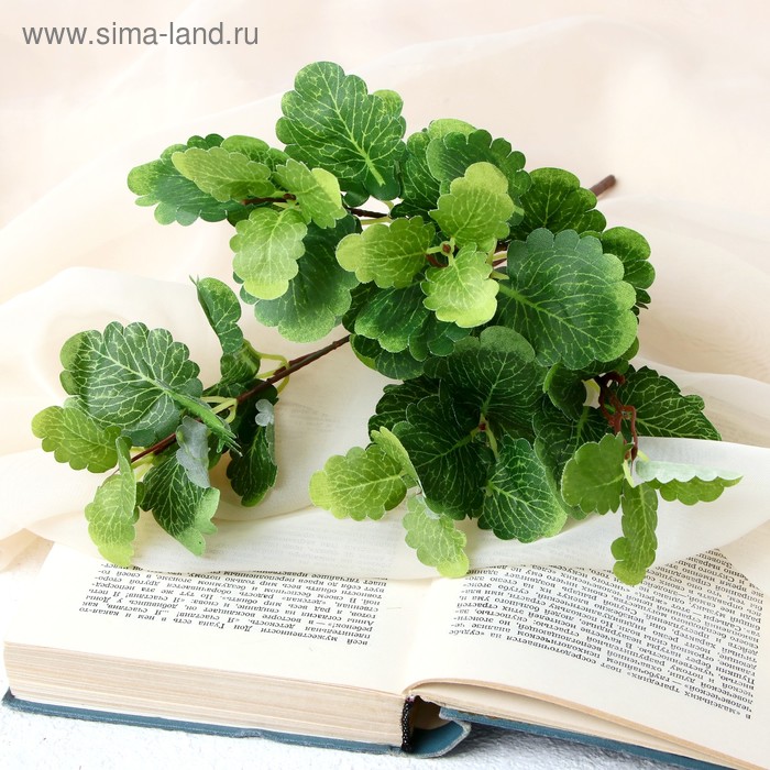 Букет "Листья клубники" 27 см
Букет "Листья клубники" 27 см