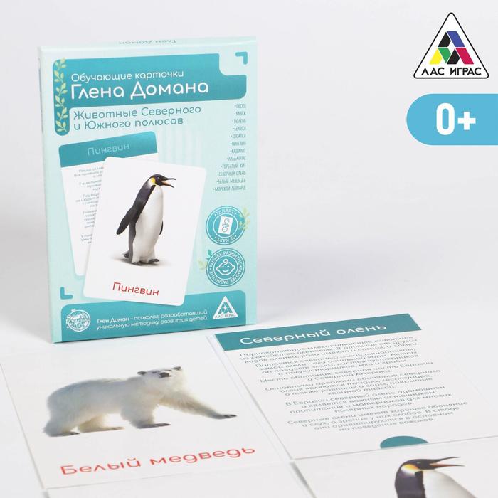 Обучающие карточки по методике Глена Домана «Животные Северного и Южного полюсов», 12 карт, А6, в коробке
Обучающие карточки по методике Глена Домана «Животные Северного и Южного полюсов», 12 карт, А6, в коробке