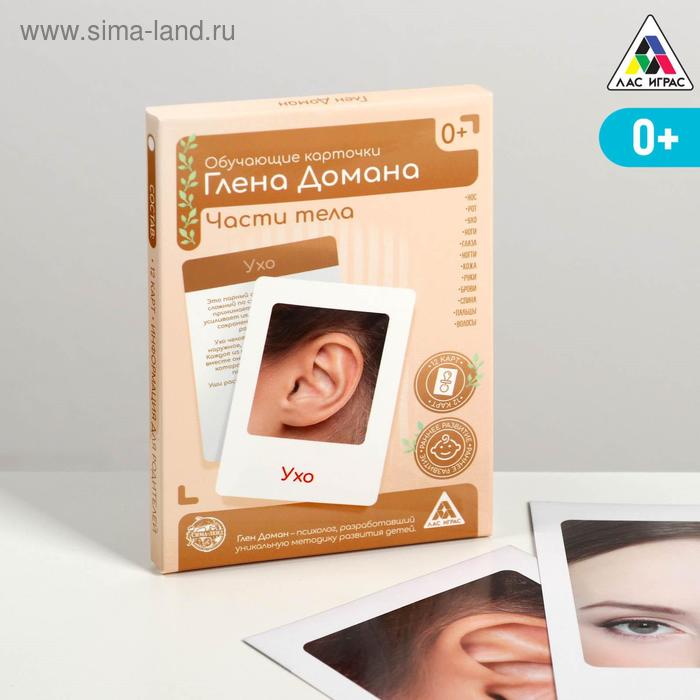 Обучающие карточки по методике Глена Домана «Части тела», 12 карт, А6, в коробке
Обучающие карточки по методике Глена Домана «Части тела», 12 карт, А6, в коробке