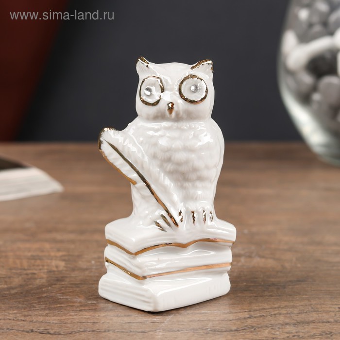 Сувенир керамика "Белый филин на книгах с пером" стразы 7,5х4х4 см
Сувенир керамика "Белый филин на книгах с пером" стразы 7,5х4х4 см