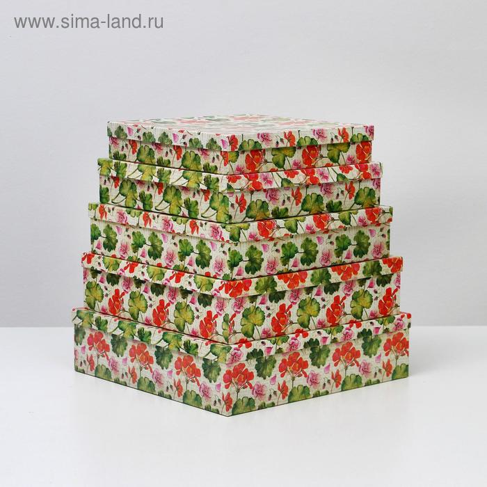 Набор коробок 5 в 1 "Герань", 34 х 34 х 9 - 26 х 26 х 5 см
Набор коробок 5 в 1 "Герань", 34 х 34 х 9 - 26 х 26 х 5 см