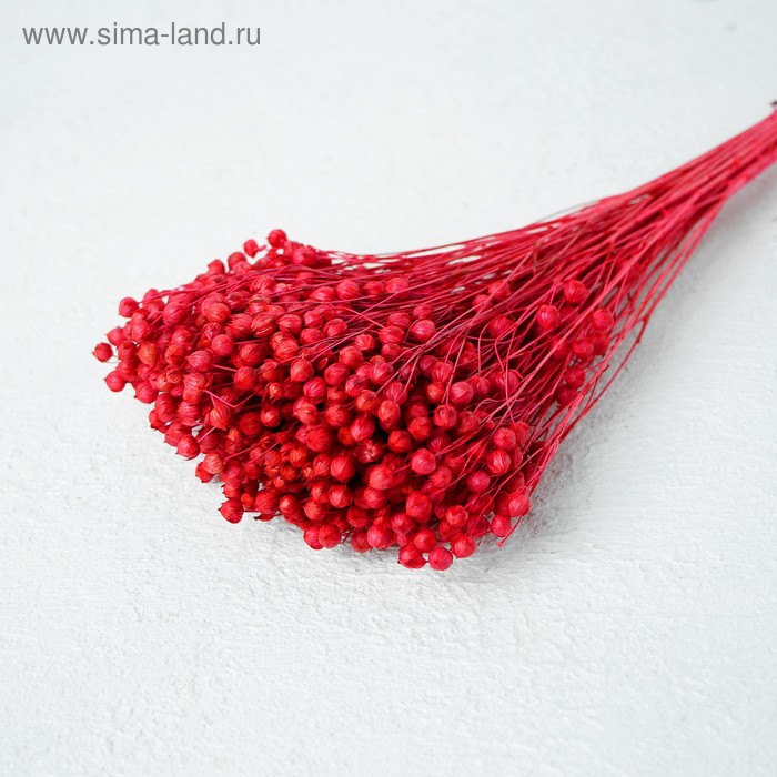 Сухоцвет «Абрус» набор 24 шт, цвет розовый
Сухоцвет «Абрус» набор 24 шт, цвет розовый