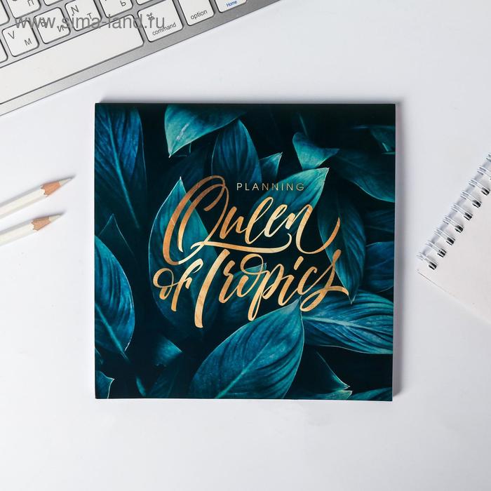 Планер квадратный Qveen of tropics
Планер квадратный Qveen of tropics