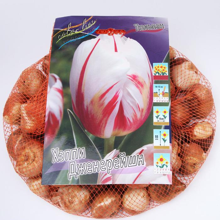 фото Тюльпан "хэппи дженерейшн" 45см, р/р 11/12, сетка 50 шт colorline