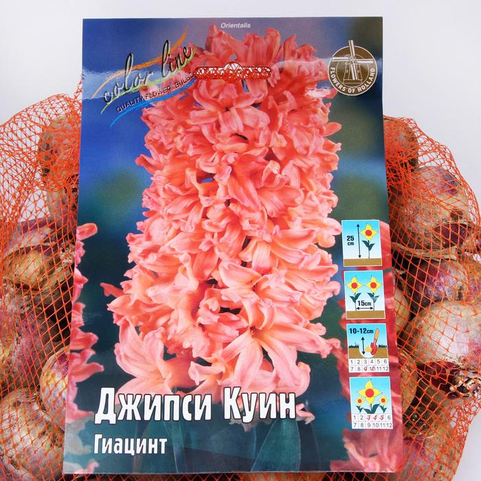 Перец Джипси Описание Сорта Фото Отзывы Характеристика