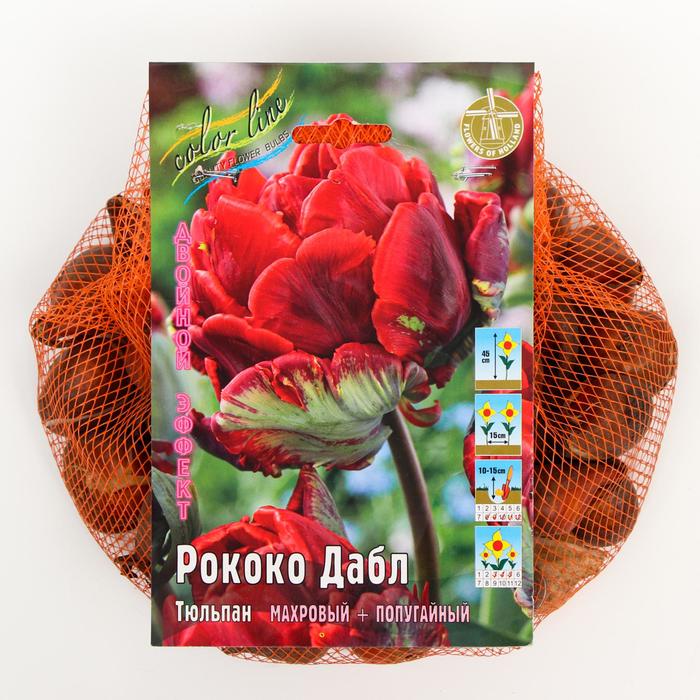 фото Тюльпан "рококо дабл" 45см, р/р 11/12, сетка 50 шт colorline