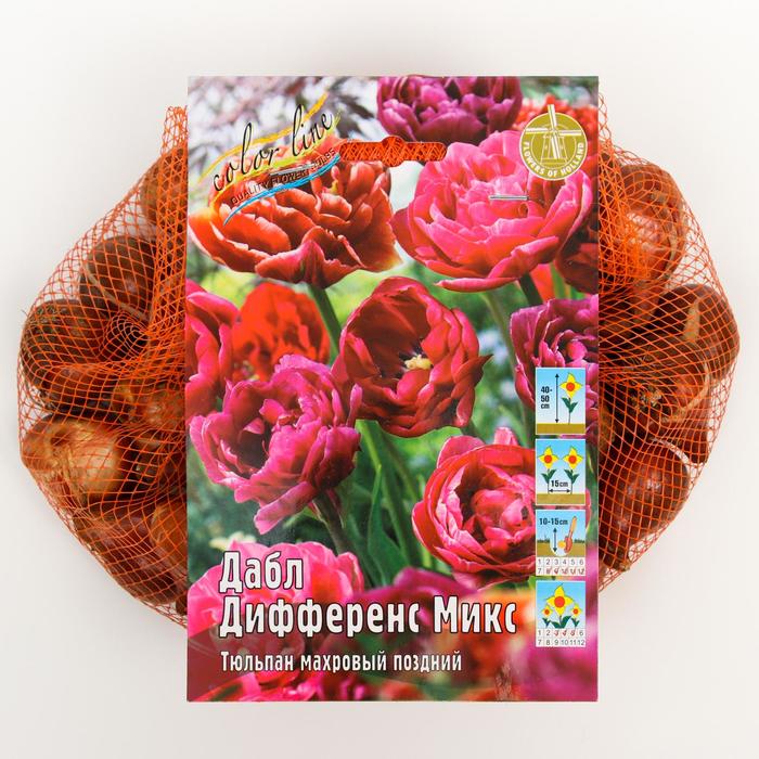 Тюльпан "Дабл Дифференс Микс" 40-50см, р/р 11/12, сетка 50 шт