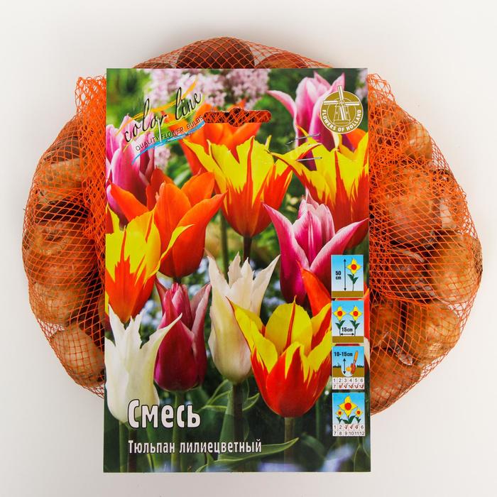 фото Тюльпан "лилиецветные, смесь" 45см, р/р 11/12, сетка 50 шт colorline