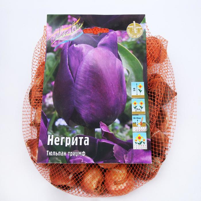 фото Тюльпан "негрита" 45см, р/р 11/12, сетка 50 шт colorline
