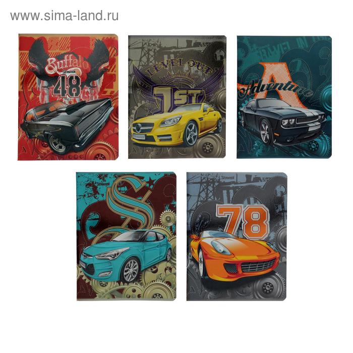 Тетрадь 48 листов в клетку "Авто", обложка мелованный картон, металлизация, УФ-лак, конгрев, блок офсет, МИКС
Тетрадь 48 листов в клетку "Авто", обложка мелованный картон, металлизация, УФ-лак, конгрев, блок офсет, МИКС