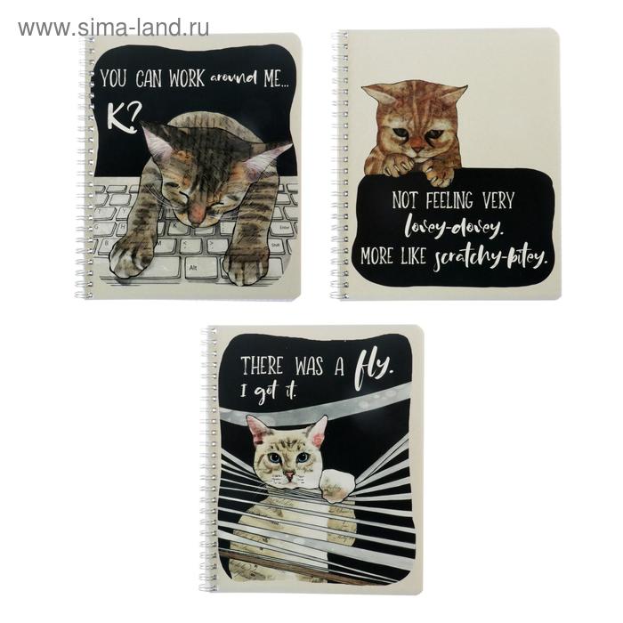 Тетрадь 60 листов в клетку на гребне «Забавный кот», обложка мелованный картон, двойной УФ-лак, блок офсет, МИКС
Тетрадь 60 листов в клетку на гребне «Забавный кот», обложка мелованный картон, двойной УФ-лак, блок офсет, МИКС