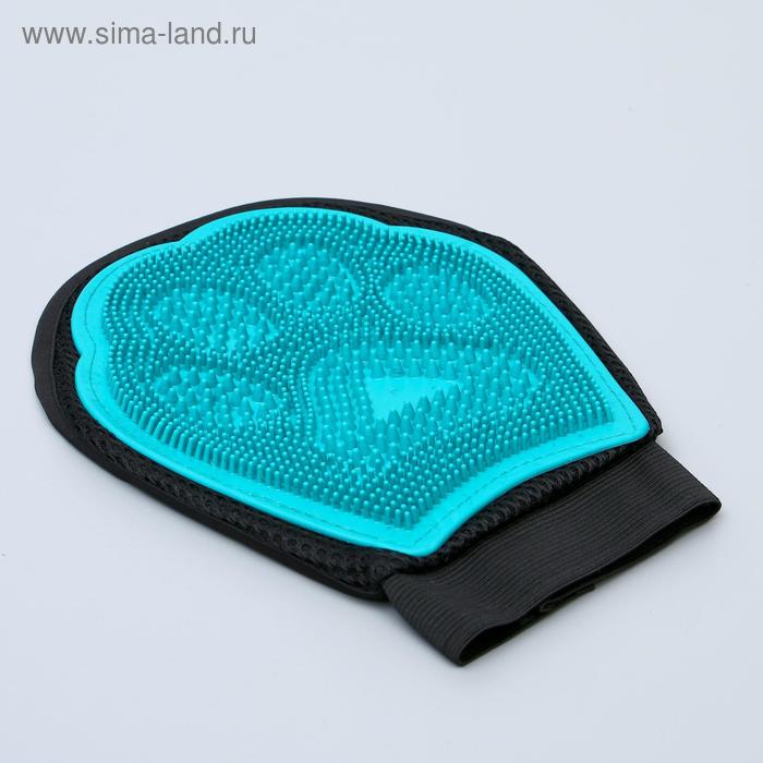 Рукавица-щетка для шерсти двусторонняя, на правую и левую руку, микс
Рукавица-щетка для шерсти двусторонняя, на правую и левую руку, микс