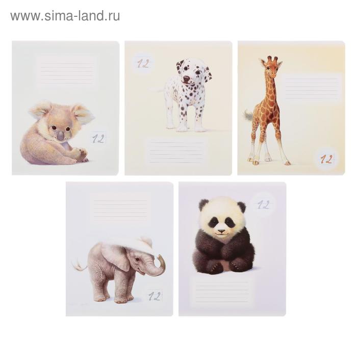 Тетрадь 12 листов в линейку MGL, обложка мелованный картон, блок офсет, МИКС
Тетрадь 12 листов в линейку MGL, обложка мелованный картон, блок офсет, МИКС