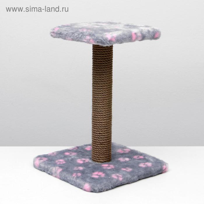 Когтеточка "Полка" с подставкой, 30 х 30 х 40 см, джут, серая с розовыми лапками
Когтеточка "Полка" с подставкой, 30 х 30 х 40 см, джут, серая с розовыми лапками