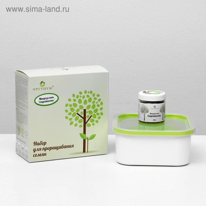 Набор для проращивания семян «Стройность», микрозелень, 100 г
Набор для проращивания семян «Стройность», микрозелень, 100 г