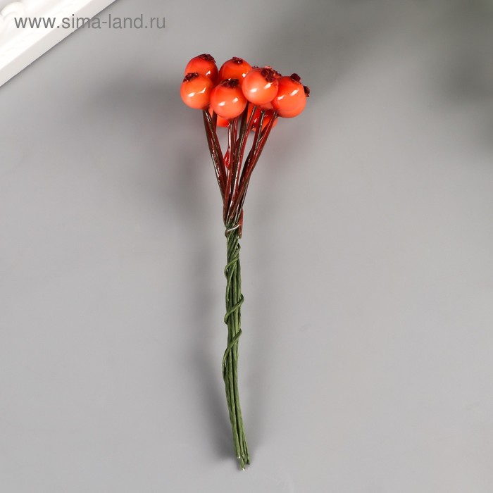 Декоративный букетик "Ягоды" коралловый
Декоративный букетик "Ягоды" коралловый