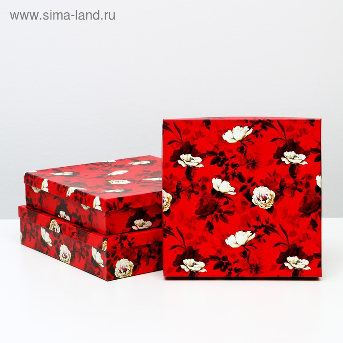 Набор коробок 3 в 1 "Белый шиповник", 30,5 х 30,5 х 7 - 26 х 26 х 5 см
Набор коробок 3 в 1 "Белый шиповник", 30,5 х 30,5 х 7 - 26 х 26 х 5 см